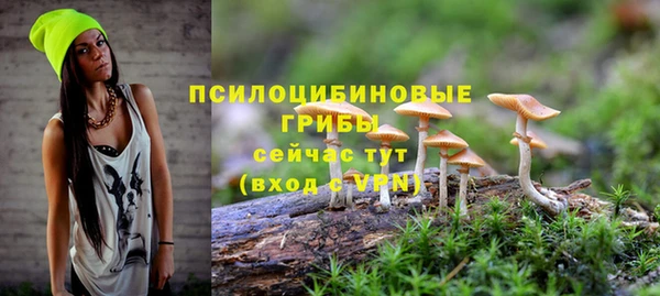 прущая мука Богородск